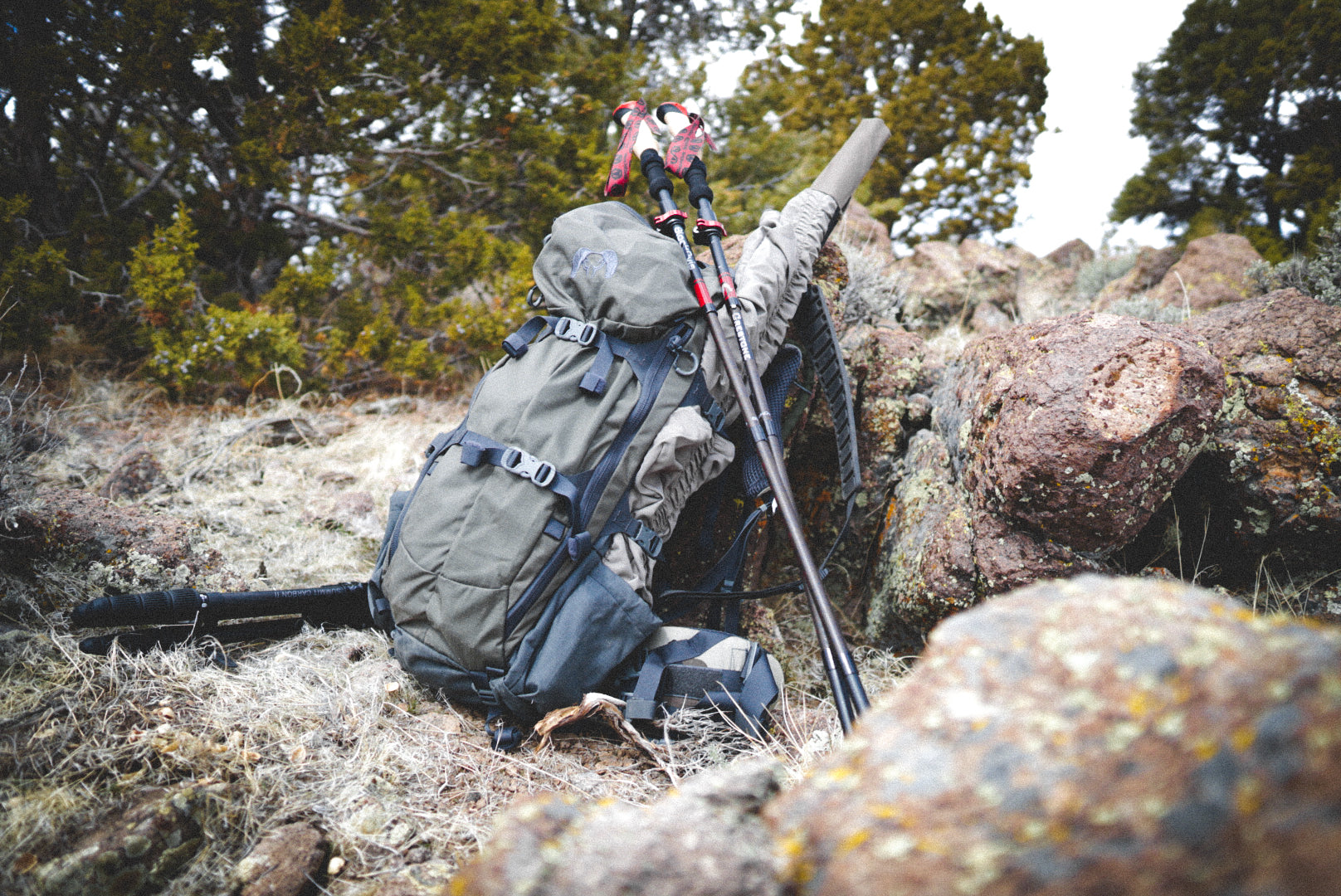 First Look at the Black Ovis Crestone Trekking Poles