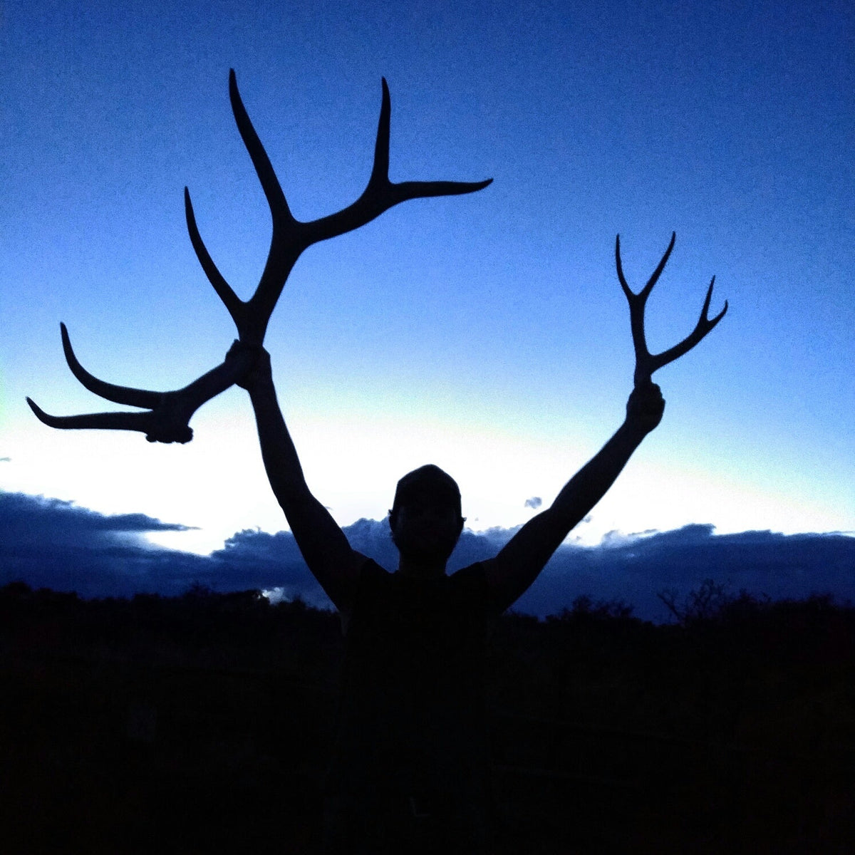 CRAZY ABOUT SHEDS... by Bryson Mackey