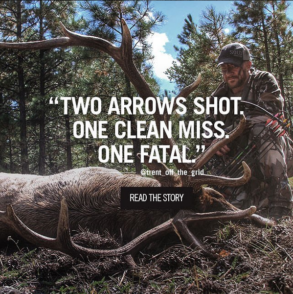 TWO ARROWS SHOT...